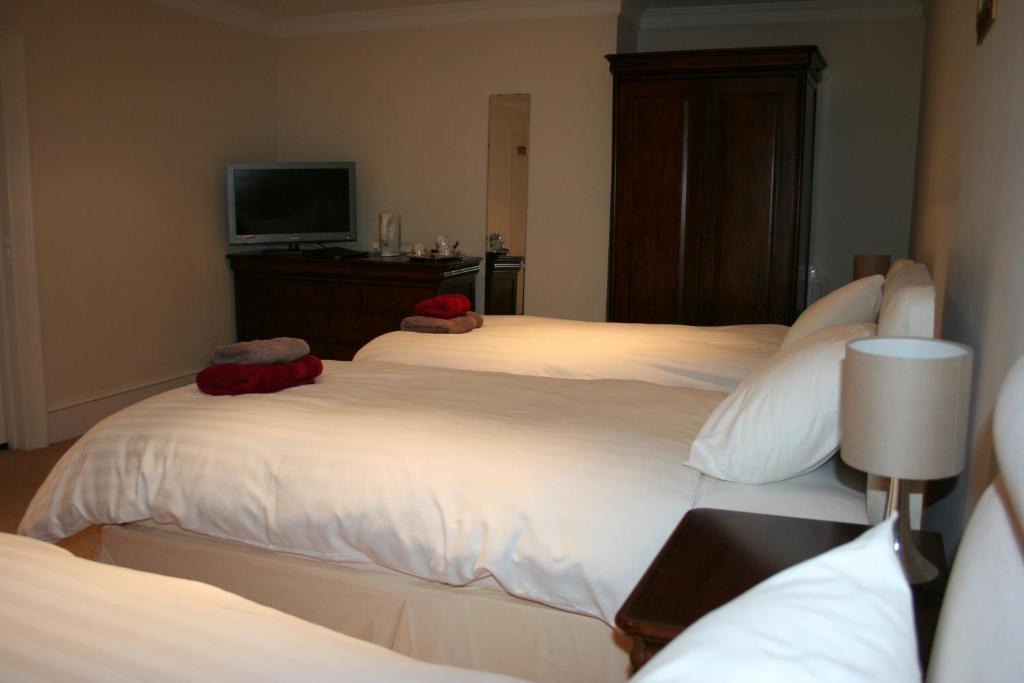 The Trewythen Hotel Llanidloes Buitenkant foto