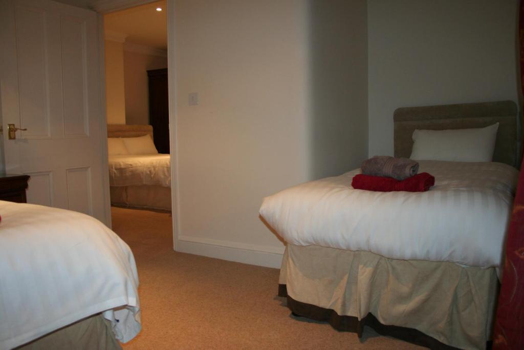 The Trewythen Hotel Llanidloes Buitenkant foto